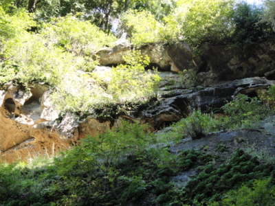 f:id:hatekota810:20120130195623j:image