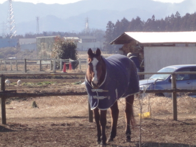 f:id:hatekota810:20120205145041j:image