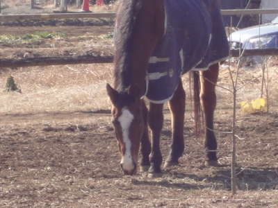 f:id:hatekota810:20120205145954j:image