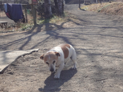 f:id:hatekota810:20120205150238j:image