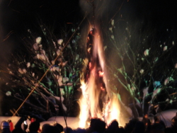 f:id:hatekota810:20120218192109j:image