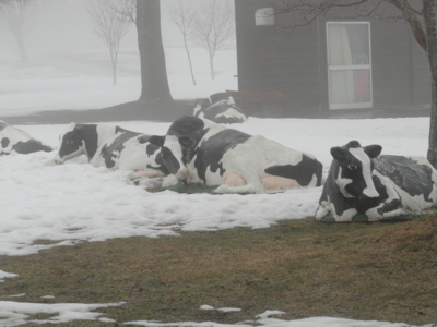 f:id:hatekota810:20120404200500j:image