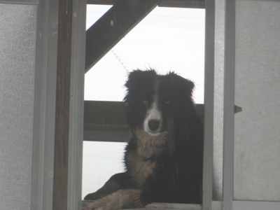 f:id:hatekota810:20120412204131j:image