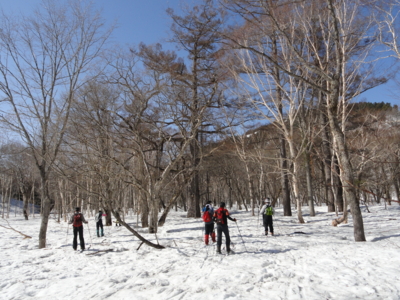 f:id:hatekota810:20120430172543j:image