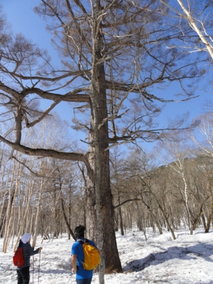 f:id:hatekota810:20120430172645j:image