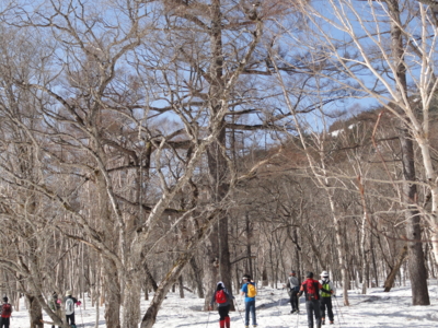 f:id:hatekota810:20120503070027j:image