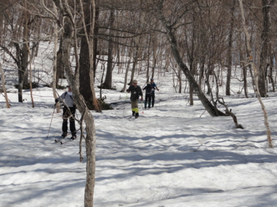 f:id:hatekota810:20120504065600j:image