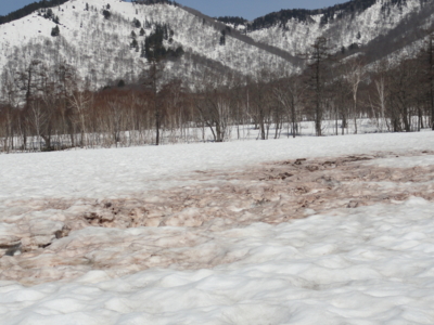 f:id:hatekota810:20120504070352j:image