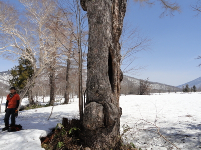 f:id:hatekota810:20120504070817j:image