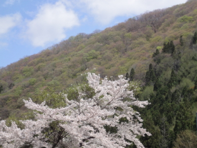 f:id:hatekota810:20120506194937j:image