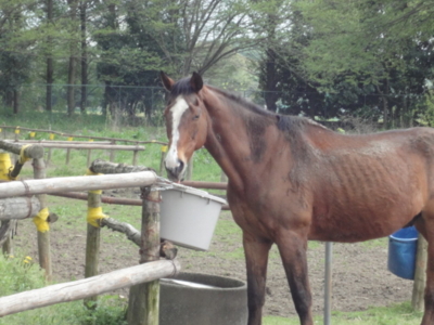 f:id:hatekota810:20120507200857j:image