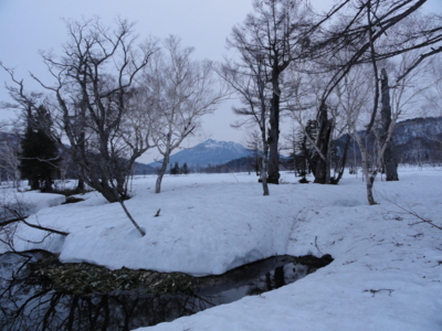 f:id:hatekota810:20120510195557j:image