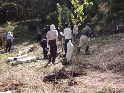 f:id:hatekota810:20120515193541j:image