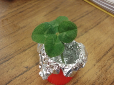 f:id:hatekota810:20120517194340j:image