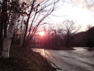 f:id:hatekota810:20120519195153j:image