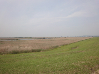 f:id:hatekota810:20120523200007j:image