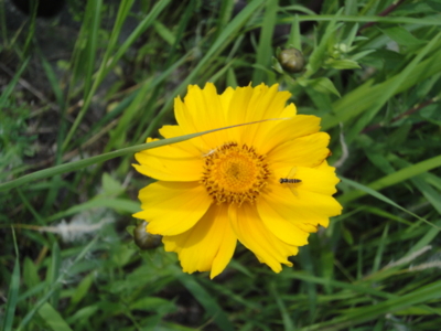 f:id:hatekota810:20120531195201j:image