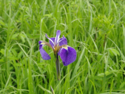 f:id:hatekota810:20120710200953j:image