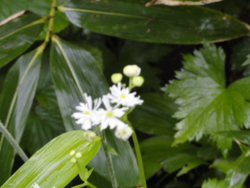 f:id:hatekota810:20120711195009j:image