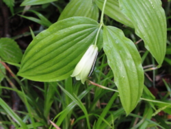 f:id:hatekota810:20120711195113j:image