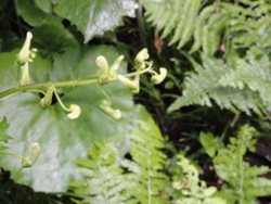 f:id:hatekota810:20120711195121j:image