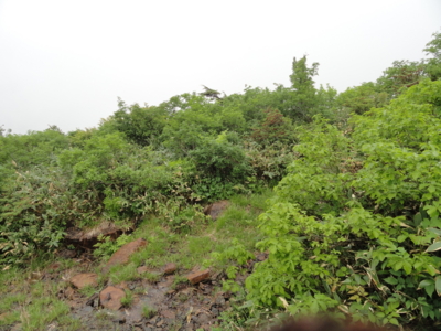 f:id:hatekota810:20120715200356j:image