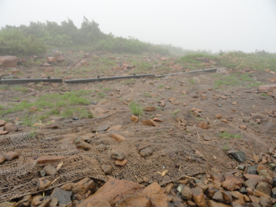 f:id:hatekota810:20120717201813j:image