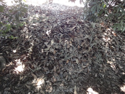 f:id:hatekota810:20120830200353j:image f:id:hatekota810:20120830200353j:image