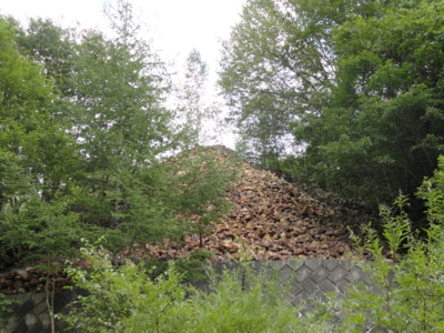 f:id:hatekota810:20120905202313j:image