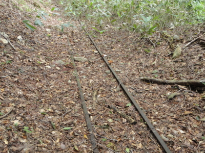 f:id:hatekota810:20120905202921j:image