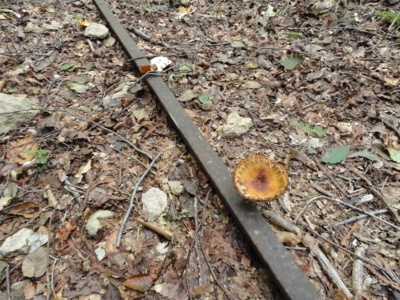 f:id:hatekota810:20120905203413j:image