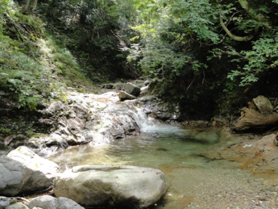 f:id:hatekota810:20120907201343j:image