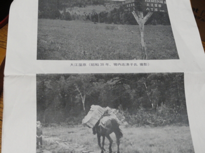 f:id:hatekota810:20121007162619j:image