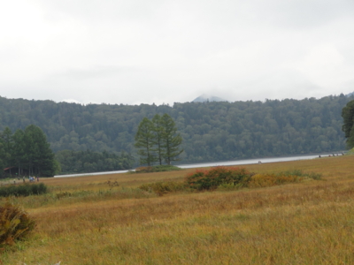 f:id:hatekota810:20121007163328j:image