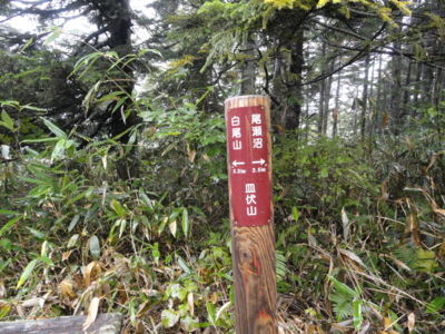 f:id:hatekota810:20121012193335j:image