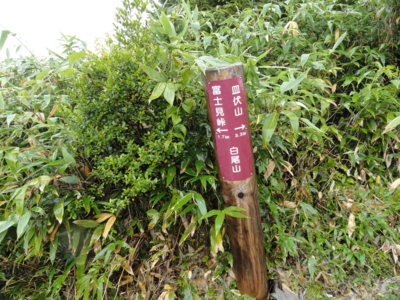 f:id:hatekota810:20121012193930j:image