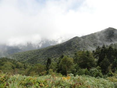 f:id:hatekota810:20121012195705j:image