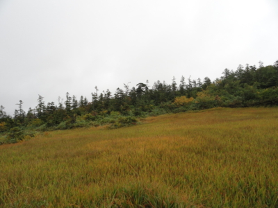 f:id:hatekota810:20121012195858j:image