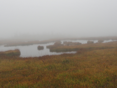 f:id:hatekota810:20121014191328j:image