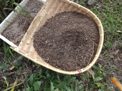 f:id:hatekota810:20121015202230j:image