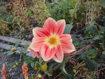 f:id:hatekota810:20121016192137j:image