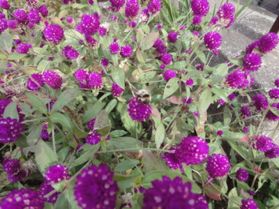 f:id:hatekota810:20121021180703j:image