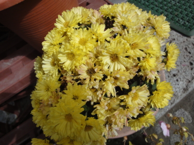 f:id:hatekota810:20121021181724j:image