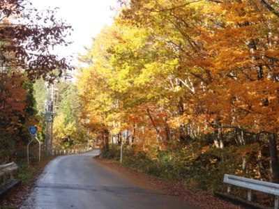 f:id:hatekota810:20121104214019j:image