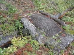 f:id:hatekota810:20121108195119j:image