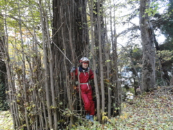 f:id:hatekota810:20121108195812j:image