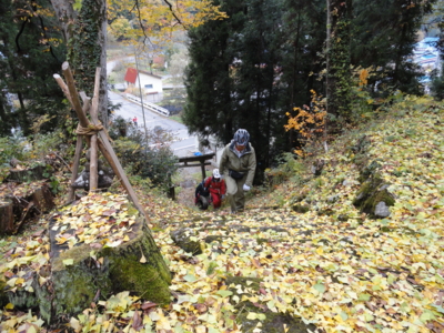 f:id:hatekota810:20121108195853j:image