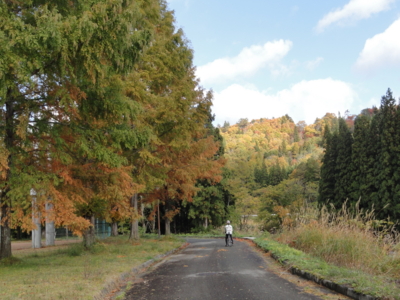 f:id:hatekota810:20121115195636j:image