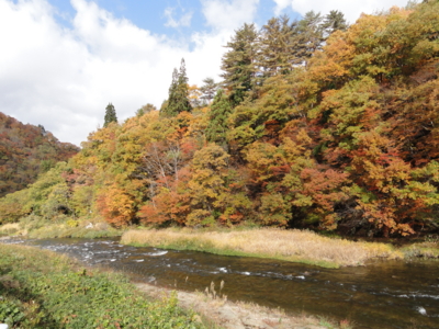 f:id:hatekota810:20121115200712j:image