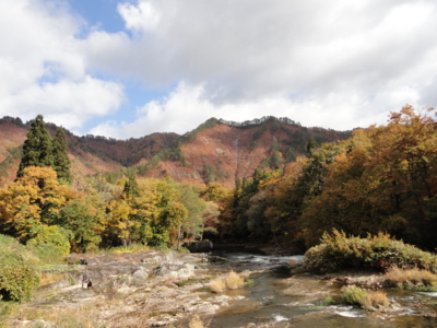 f:id:hatekota810:20121116191055j:image